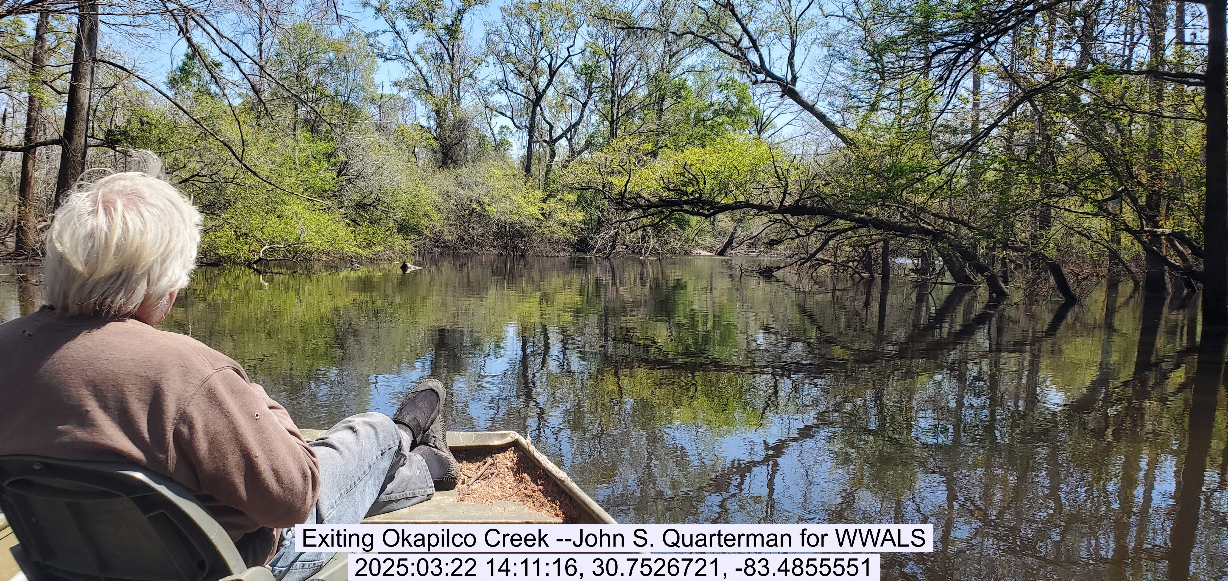 Exiting Okapilco Creek --John S. Quarterman for WWALS, 2025:03:22 14:11:16, 30.7526721, -83.4855551