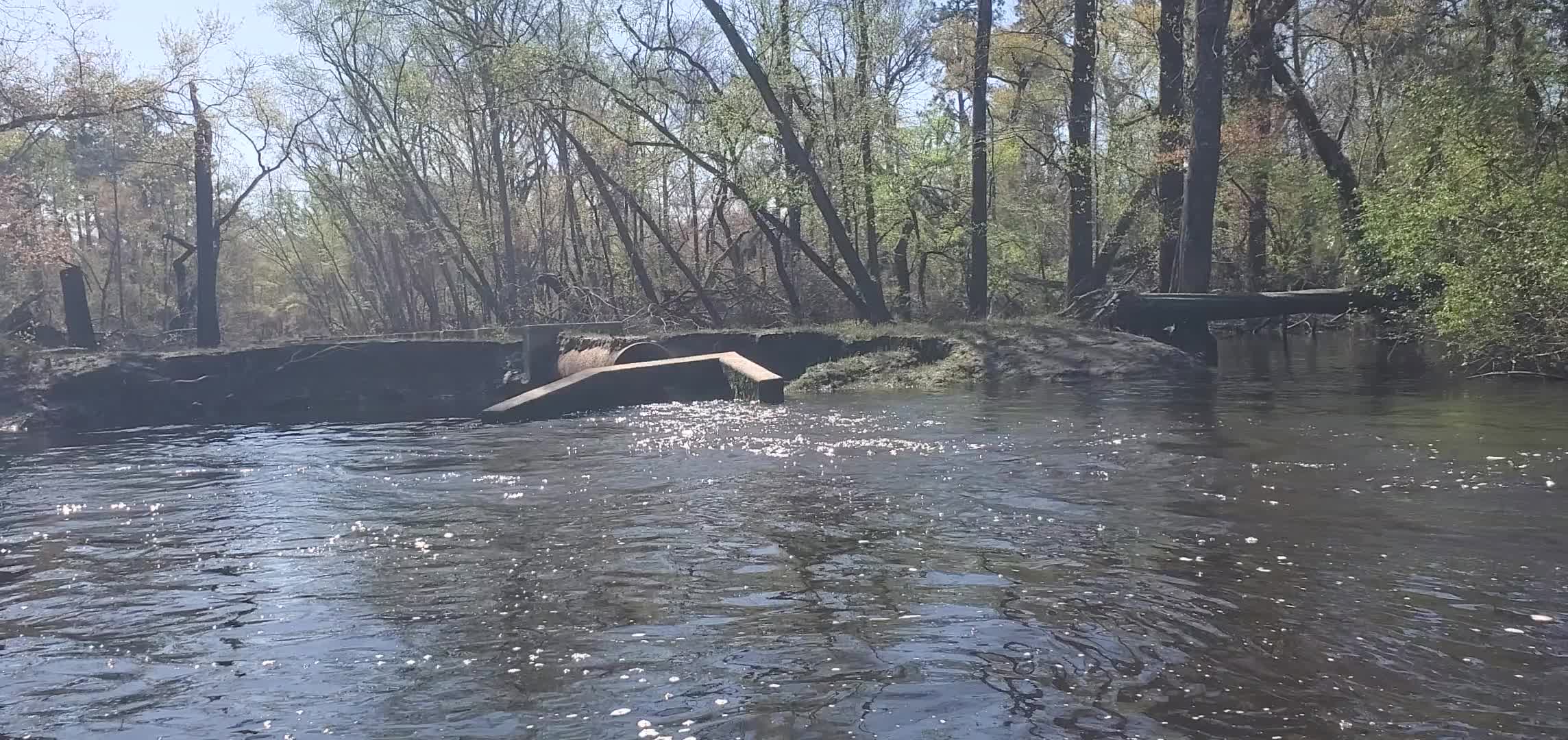 Movie: Sign missing at WWTP Outfall 2025:03:22 10:58:20, 30.8363739, -83.3591081