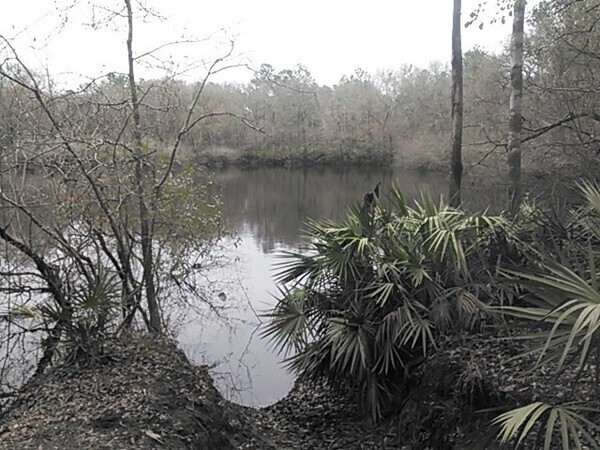 [Shadrick Sinkhole, 30.903927, -83.313544, in Sinkholes near the Withlacoochee River, by John S. Quarterman, for WWALS.net, 18 February 2015]