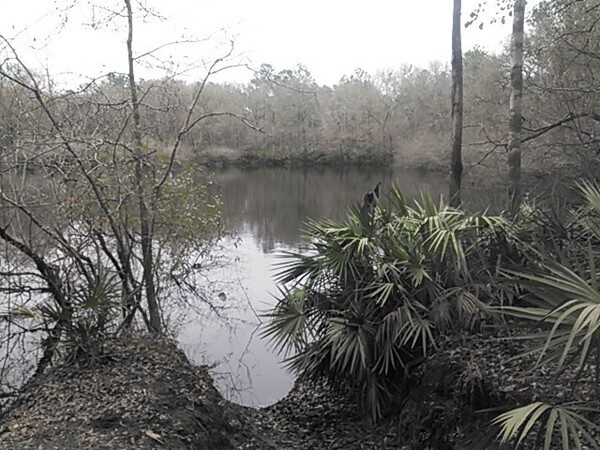 Shadrick Sinkhole, 30.903927, -83.313544, in Sinkholes near the Withlacoochee River, by John S. Quarterman, for WWALS.net, 18 February 2015