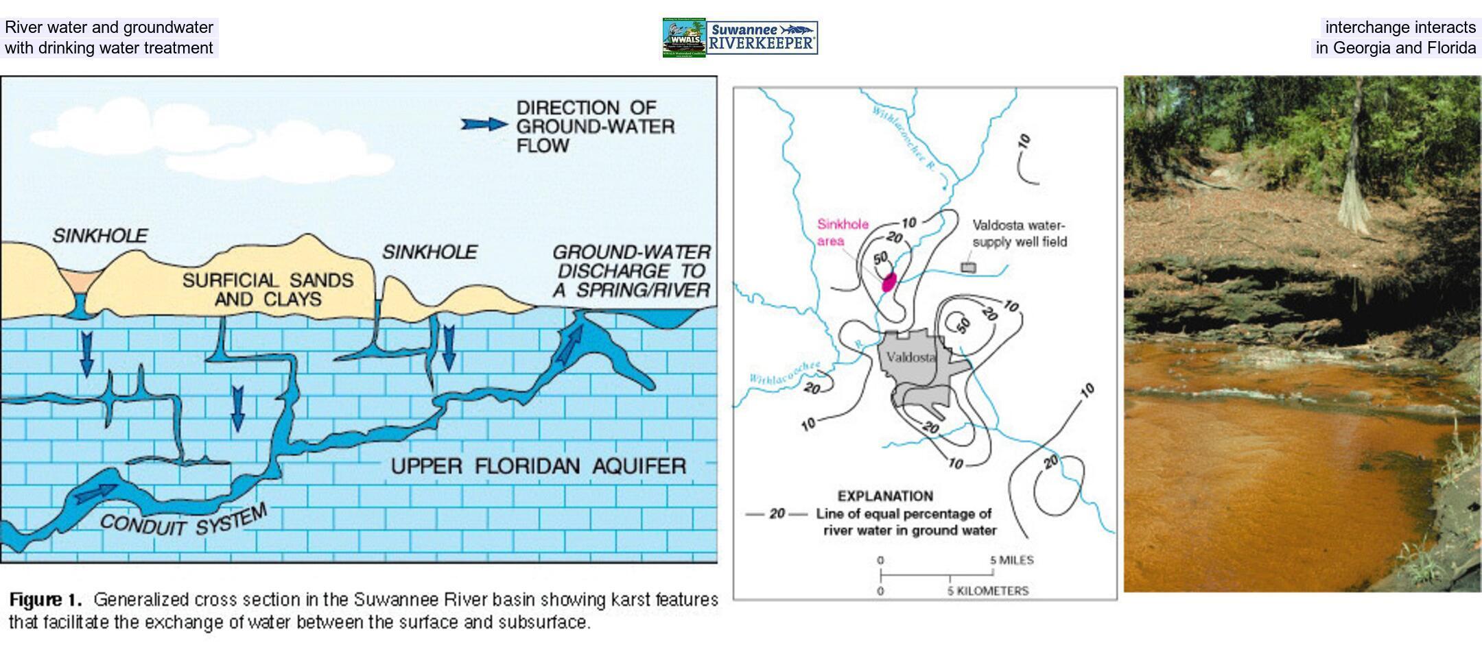 River water and groundwater interchange interacts with drinking water treatment in Georgia and Florida