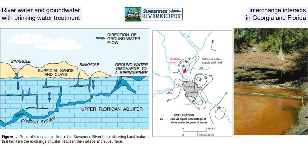 River water and groundwater interchange interacts with drinking water treatment in Georgia and Florida