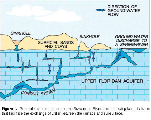 [Figure 1. Generalized cross section in the Suwannee River basin showing karst features that facilitate the exchange of water between the surface and subsurface. from The Suwannee River Basin Pilot Study: Issues for Watershed Management in Florida]