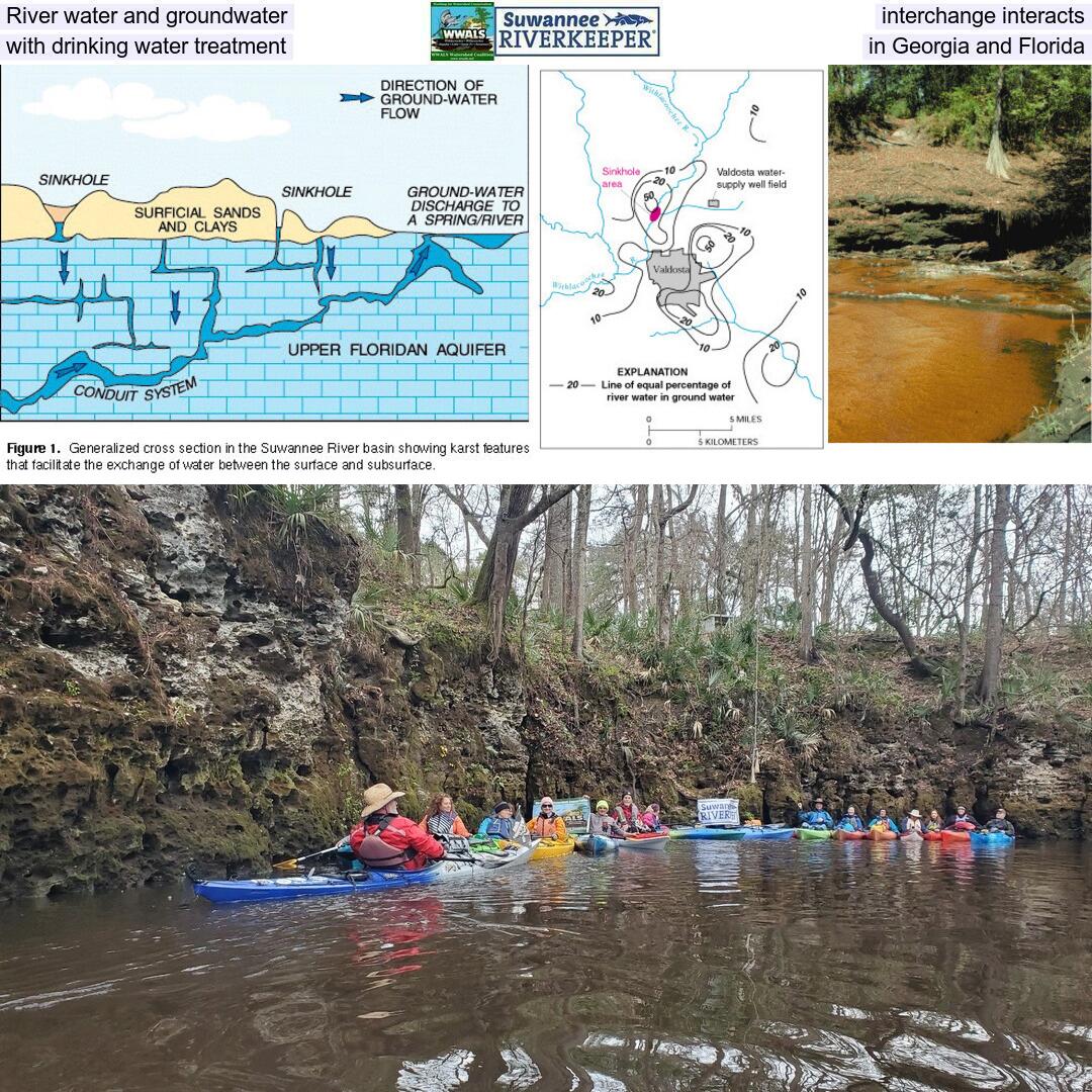 River water and groundwater interchange interacts with drinking water treatment in Georgia and Florida