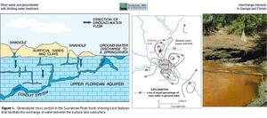 [River water and groundwater interchange interacts with drinking water treatment in Georgia and Florida]
