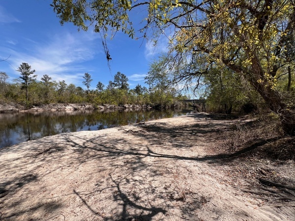 [Naylor Park Beach, Alapaha River @ US 84 2025-03-26]