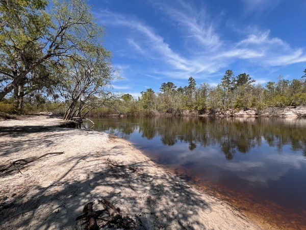 Downstream, Naylor Park Beach, Alapaha River @ US 84 2025-03-26