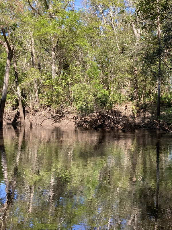 [Staten Road, Withlacoochee River @ Staten Road 2025-03-26]