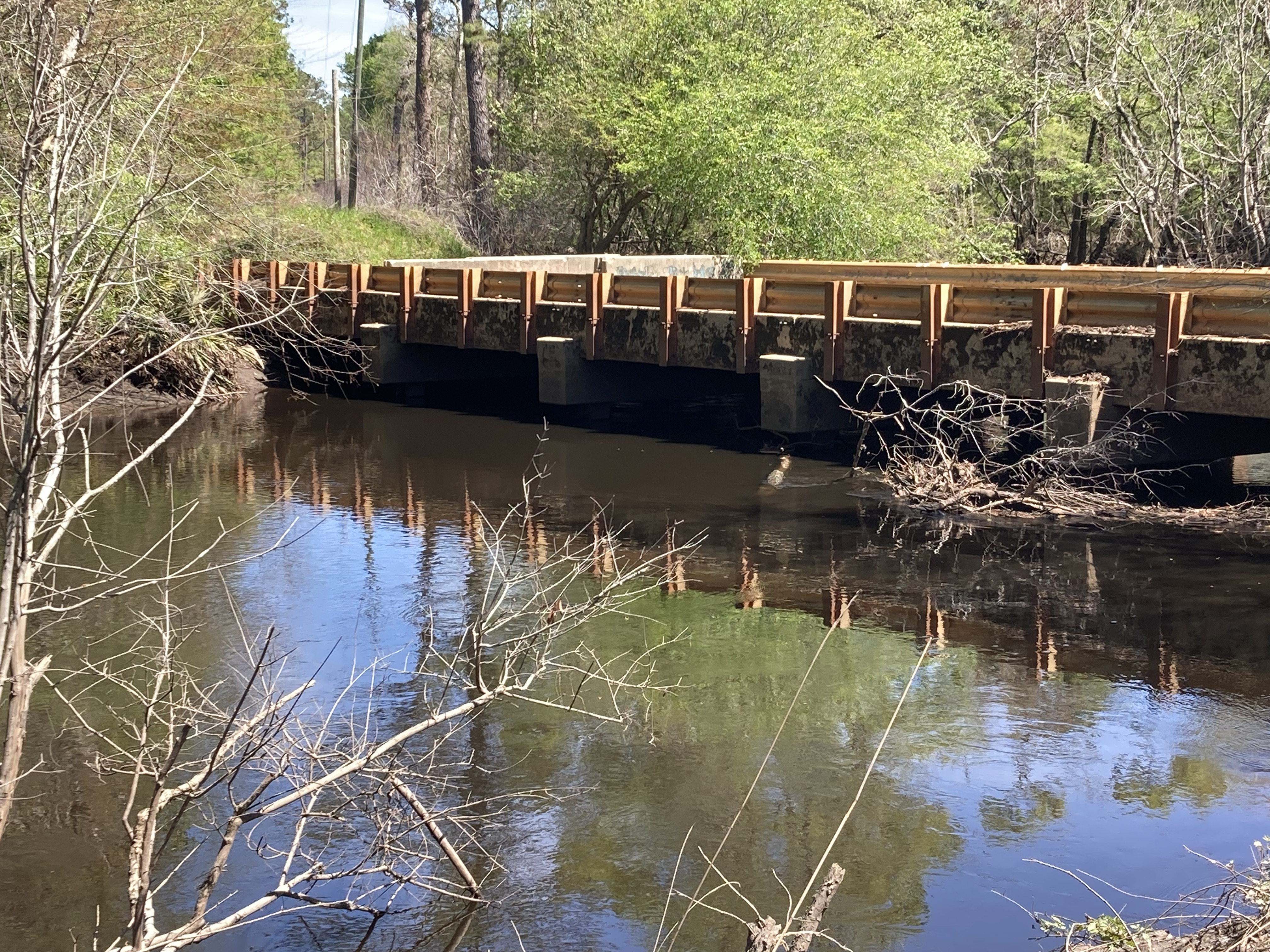 Tyler Bridge, Franklinville, Withlacoochee River @ Frankinville Road 2025-03-26