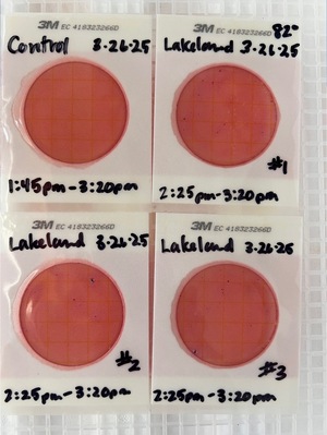 [Plates, Lakeland Boat Ramp 2025-03-26]