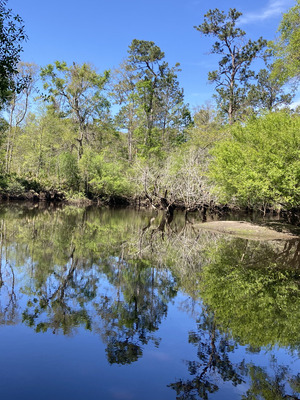 [Upstream, Langdale Park Boat Ramp, Withlacoochee River @ North Valdosta Road 2025-03-26]