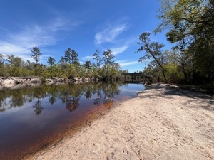 [Upstream, Naylor Park Beach, Alapaha River @ US 84 2025-03-26]