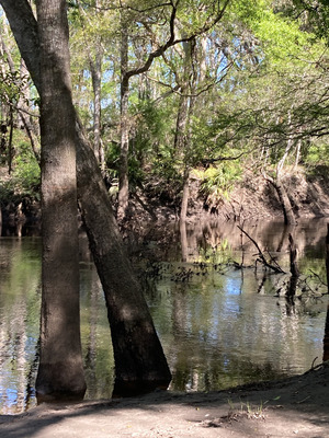 [Staten Road other, Withlacoochee River @ Staten Road 2025-03-26]