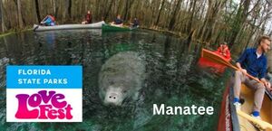 [Manatee Springs State Park]
