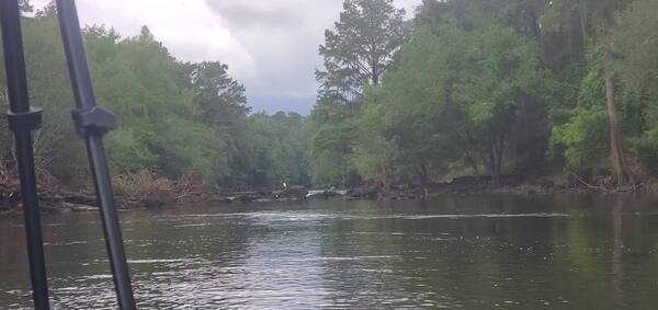 [Movie: Seventh rapids; Foxglove Shoals, 2023-07-25, 11:48:45, 30.5573130, -83.2599485 (35M)]
