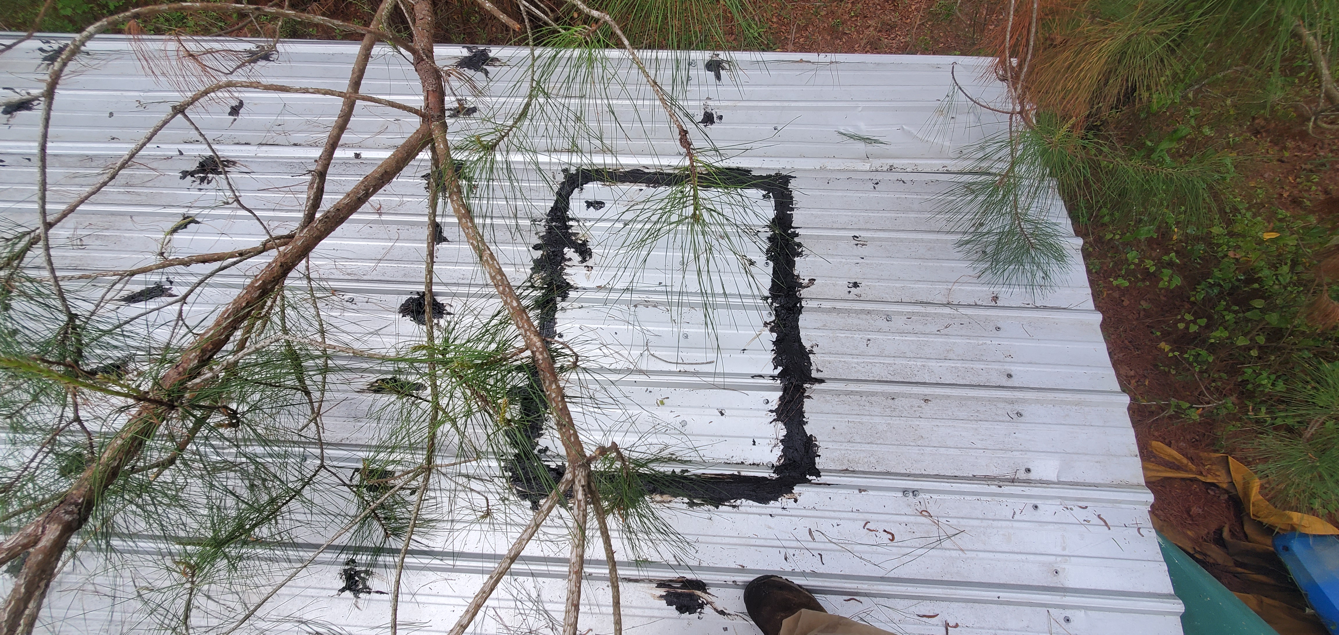 Northwest patch