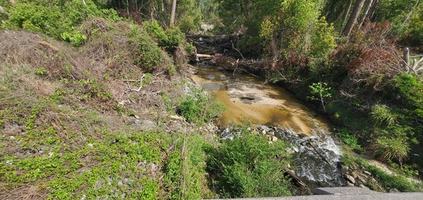 [Downstream, Sugar Creek, Baytree Road, 11:19:22, 30.8471111, -83.3136569]