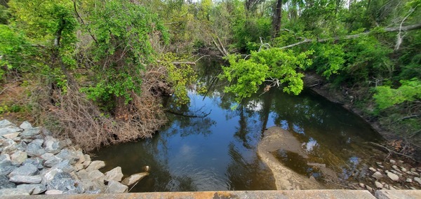 [Gornto Road Bridge, Sugar Creek, 11:37:15, 30.8599464, -83.3173226]