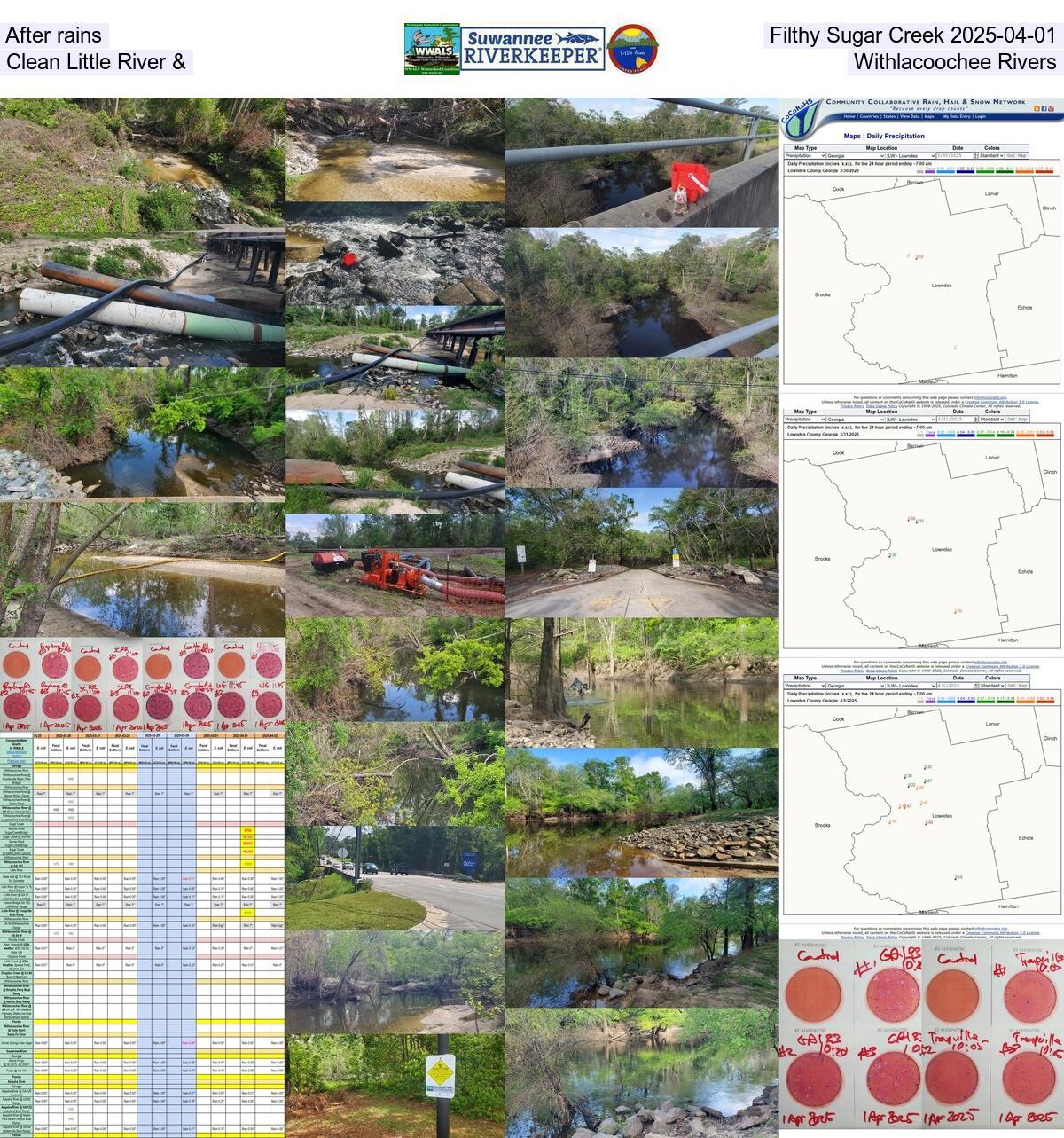 [After rains, Filthy Sugar Creek 2025-04-01, Clean Little River &, Withlacoochee Rivers]