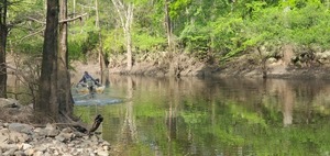 [Downstream, Little River, Troupville Boat Ramp, 10:02:28, 30.8514062, -83.3474863]