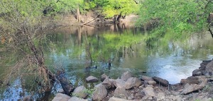 [Closeup Sample Site, Little River, Troupville Boat Ramp, 10:08:25, 30.8514818, -83.3476666]