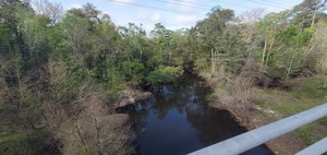 [Downstream, GA 133, Withlacoochee River, 10:26:01, 30.8498638, -83.3397469]