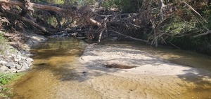 [Trash downstream, Baytree Road, Sugar Creek, 10:44:47, 30.8470421, -83.3141339]
