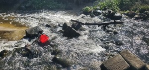 [Sample bucket, Baytree Road, Sugar Creek, 10:44:50, 30.8470421, -83.3141339]
