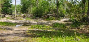 [To Sugar Creek WaterGoat, 11:48:12, 30.8624488, -83.3186149]