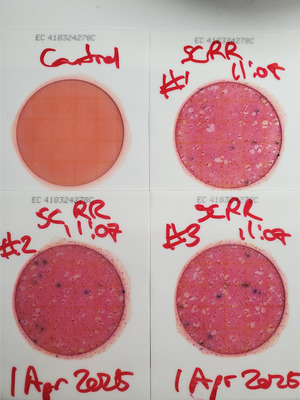 [Plates, NSRR, Sugar Creek, 2025-04-01]