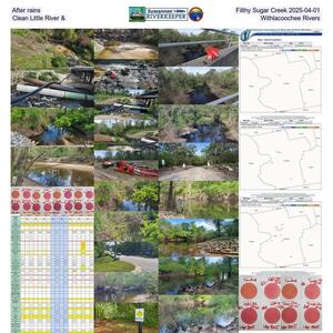 [After rains, Filthy Sugar Creek 2025-04-01, Clean Little River &, Withlacoochee Rivers]