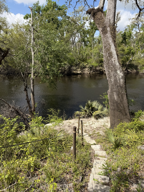[Holly Point, Withlacoochee River @ NE Withla Bluffs Way 2025-04-03]
