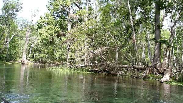 Movie: Idyllic Ichetucknee River, (79M) --Janet Martin