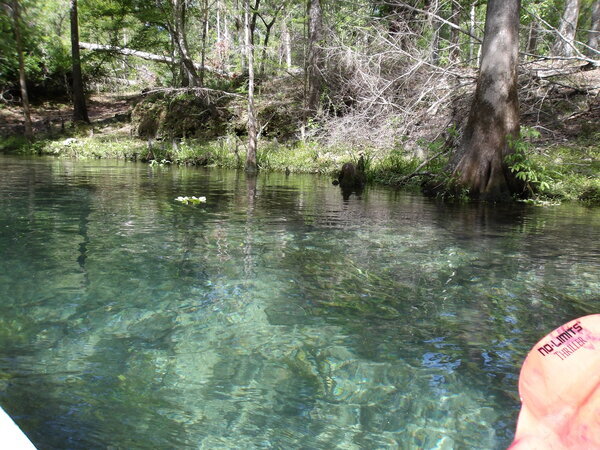 Maybe a boil in the river --Janet Martin