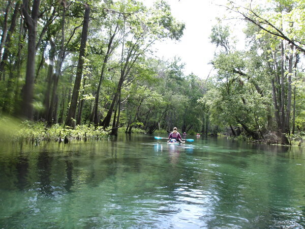 [Green paddlers --Janet Martin]