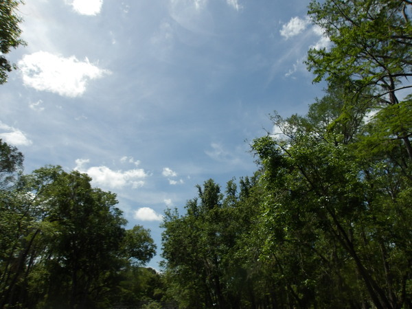 [Sky --Janet Martin]