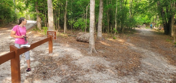 [Tish Hall with sign-in sheet, Kim Tanner coming out of the woods, 08:36:20, 29.9831145, -82.7609911]