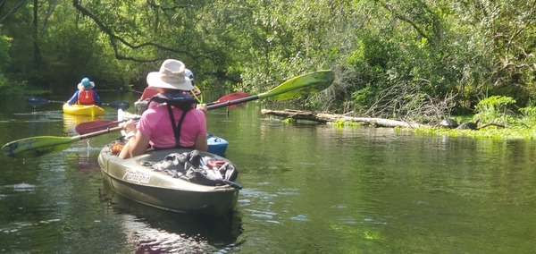 Paddling by turtles, 10:30:55, 29.9821904, -82.7600523
