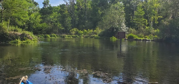 [Blue Hole Spring, 1st Magnitude, 10:35:57, 29.9803591, -82.7588304]