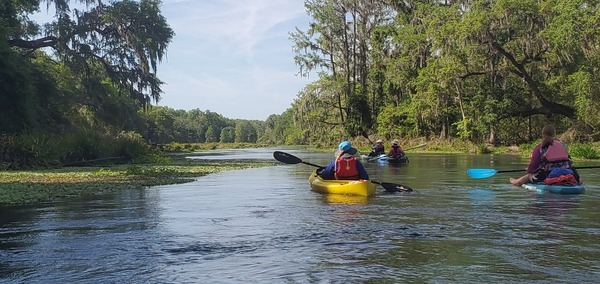 [Paddling into a wide spot, 10:46:10, 29.9749688, -82.7590310]