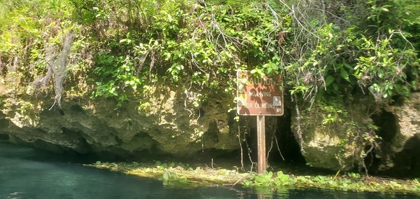 [Caution: No Diving or Climbing (right bank), 11:24:06, 29.9603583, -82.7715276]