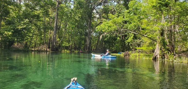 Paddlers around the bend, 11:44:24, 29.9556612, -82.7815041