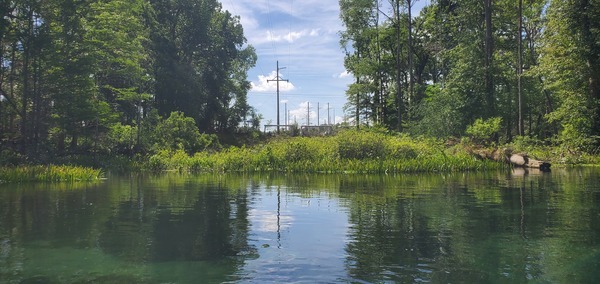[Tram going below Live Oak Power Line, 11:44:29, 29.9556612, -82.7815041]