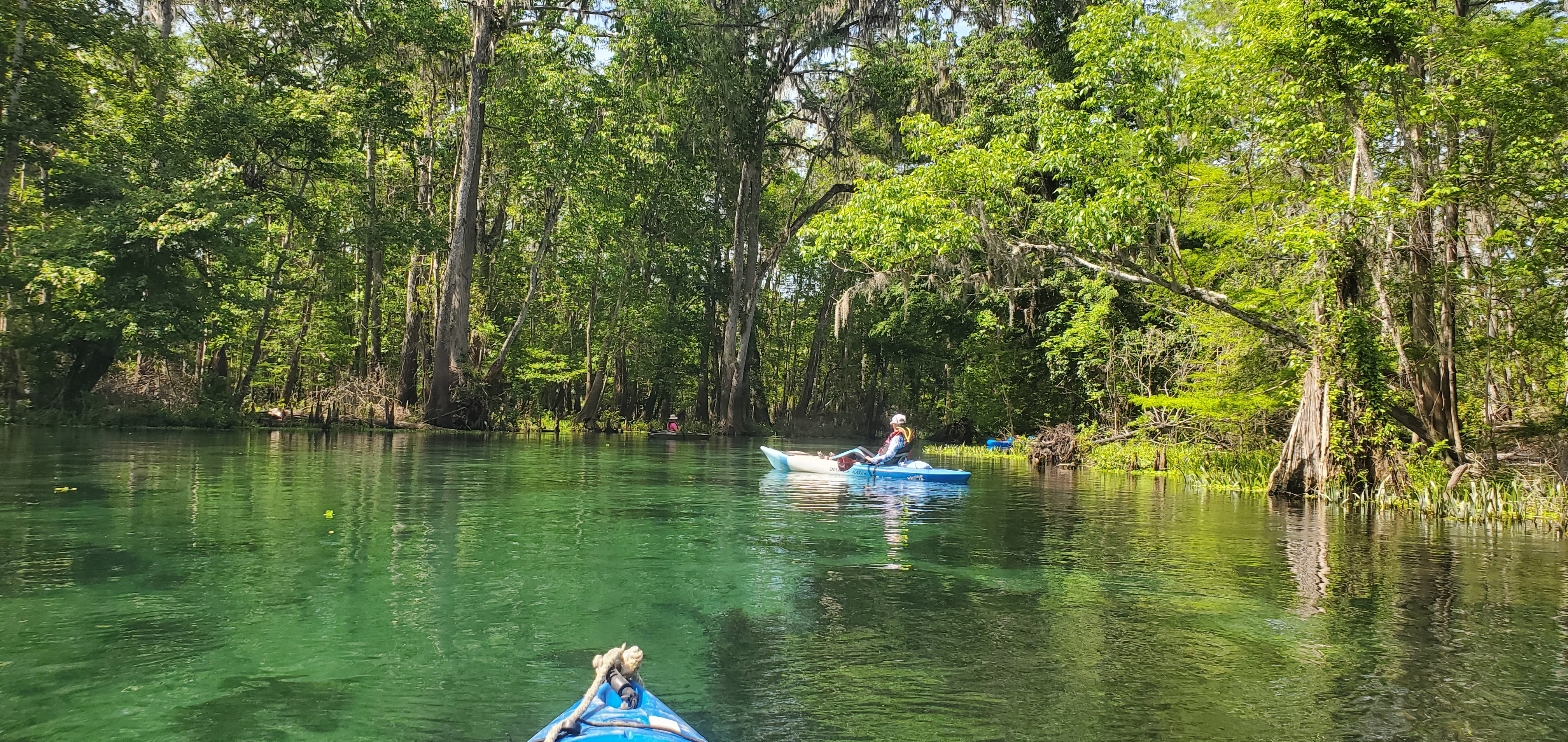 Paddlers around the bend, 11:44:24, 29.9556612, -82.7815041