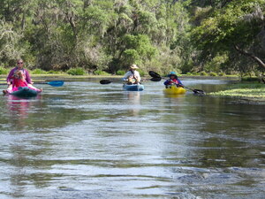 [Paddlers --Janet Martin]