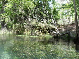 [Riverside access? --Janet Martin]