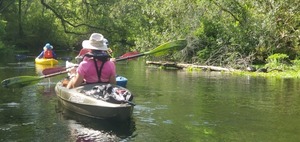 [Paddling by turtles, 10:30:55, 29.9821904, -82.7600523]