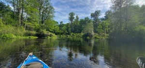 [Context: Blue Hole Spring, 1st Magnitude, 10:36:01, 29.9803591, -82.7588304]