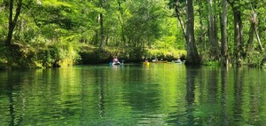 [Paddlers behind, 11:26:11, 29.9597004, -82.7723207]