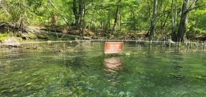 [Coffee Spring, Home of the Ichetucknee Silt Snail, 11:34:28, 29.9593344, -82.7751375]